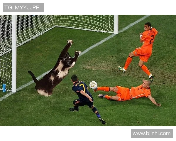 足球明星素猫画展现球场魅力与猫咪灵动结合的奇妙艺术之旅